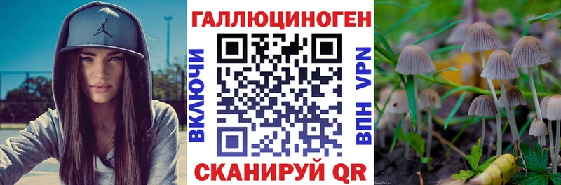 Псилоцибиновые грибы Cubensis  Суоярви 
